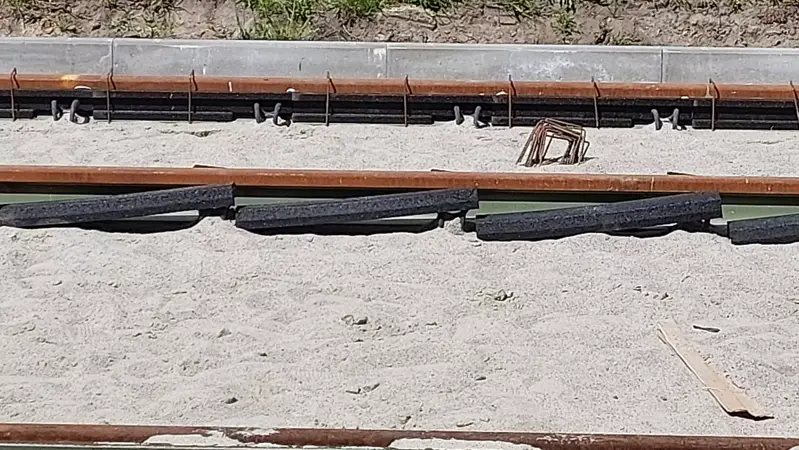 zdjęcie 1 (17)