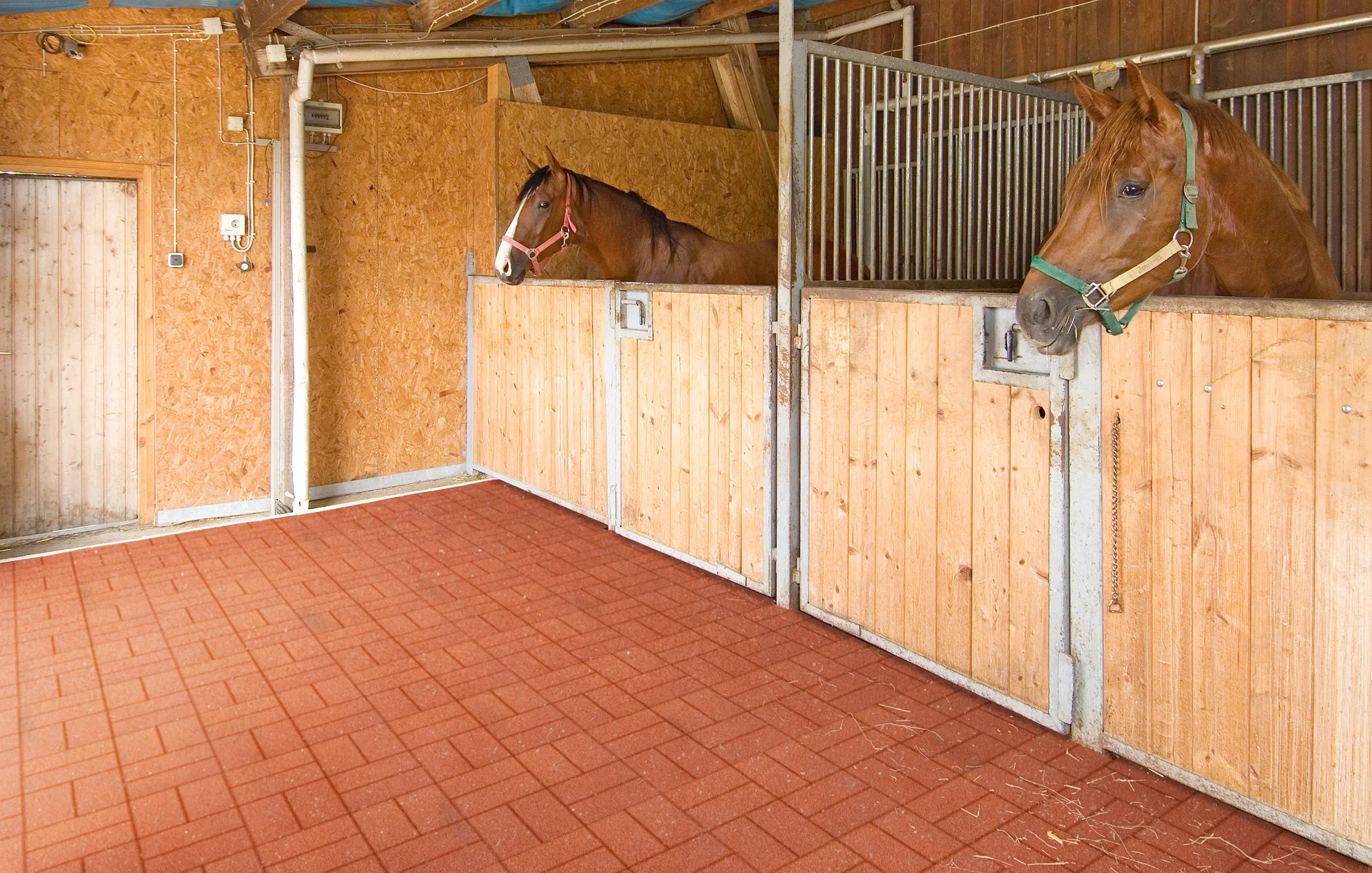 Nawierzchnie do stajni